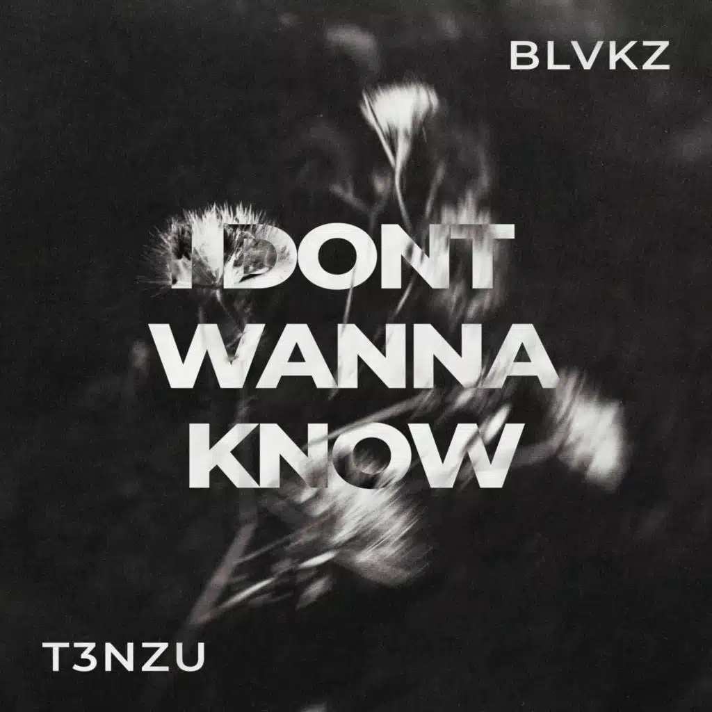 T3NZU, BLVKZ & Luke Muzzic