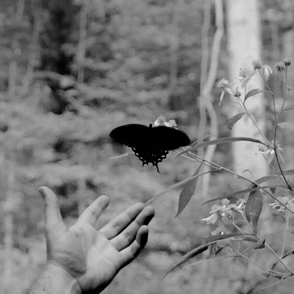 Take Heart