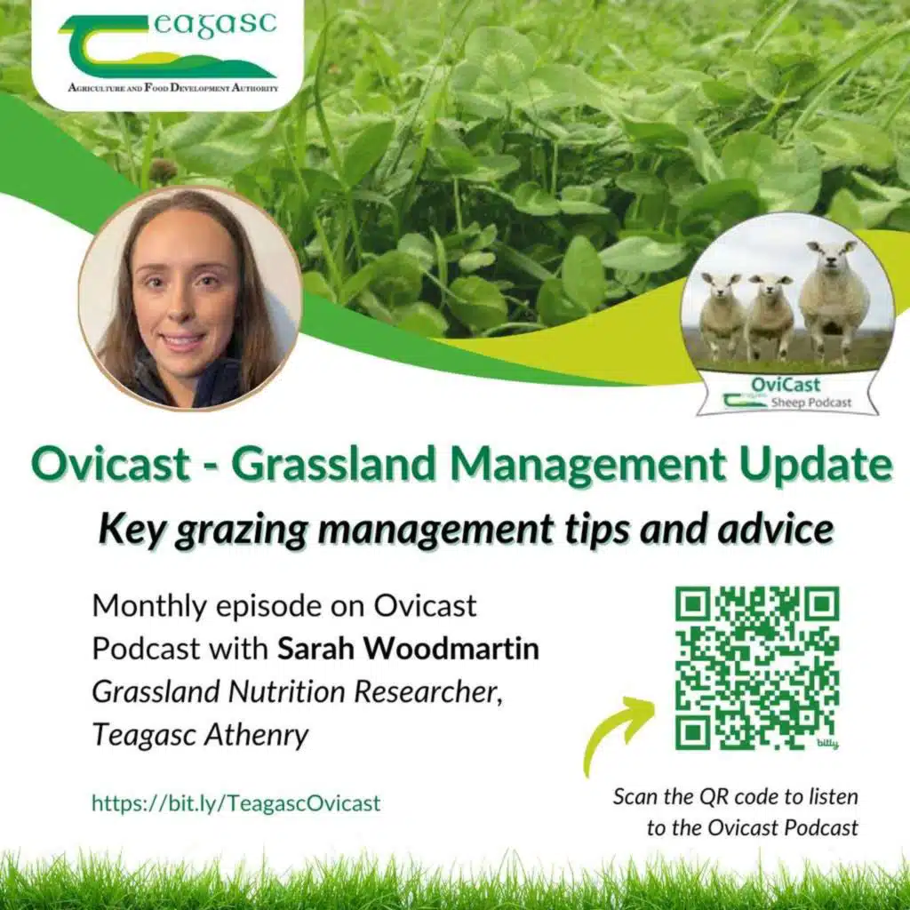 October Grass Update