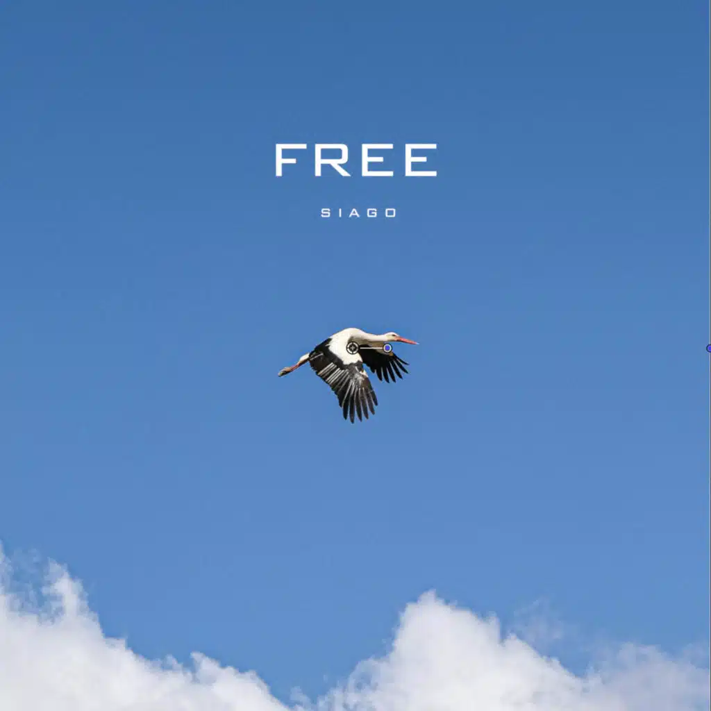 FREE