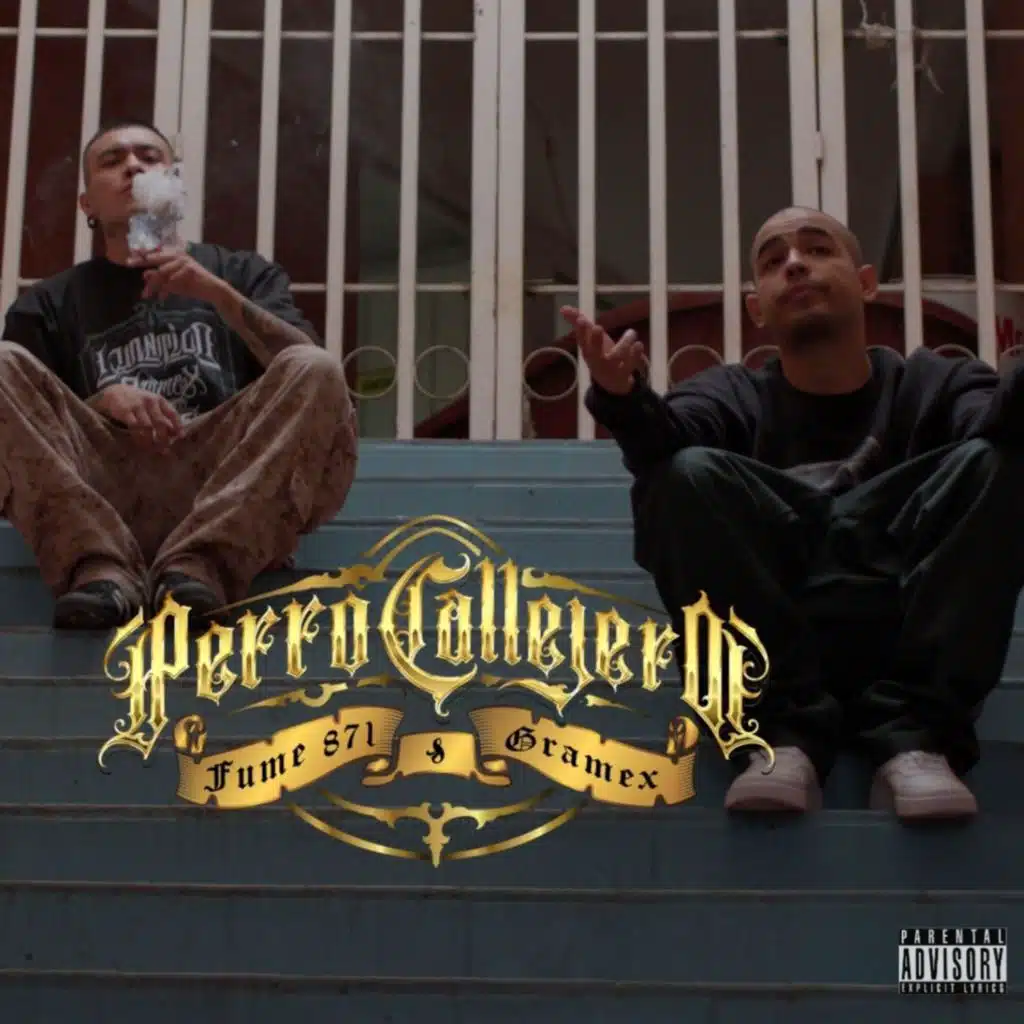 Perro Callejero (feat. Bandido Sonico)