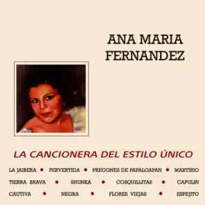 Ana Maria Fernandez
