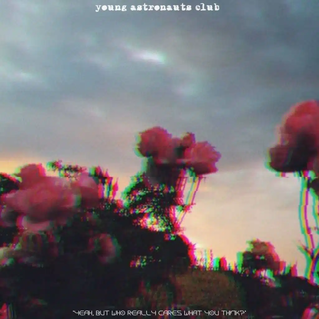 Yeah, But Who Really Cares What You Think?