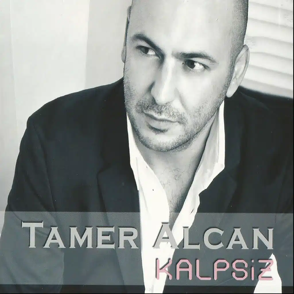 Tamer Alcan