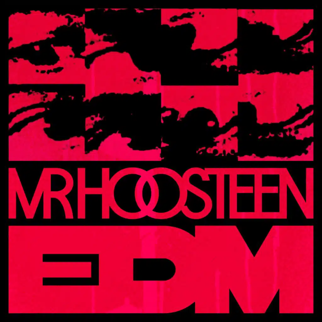 Mr. Hoosteen