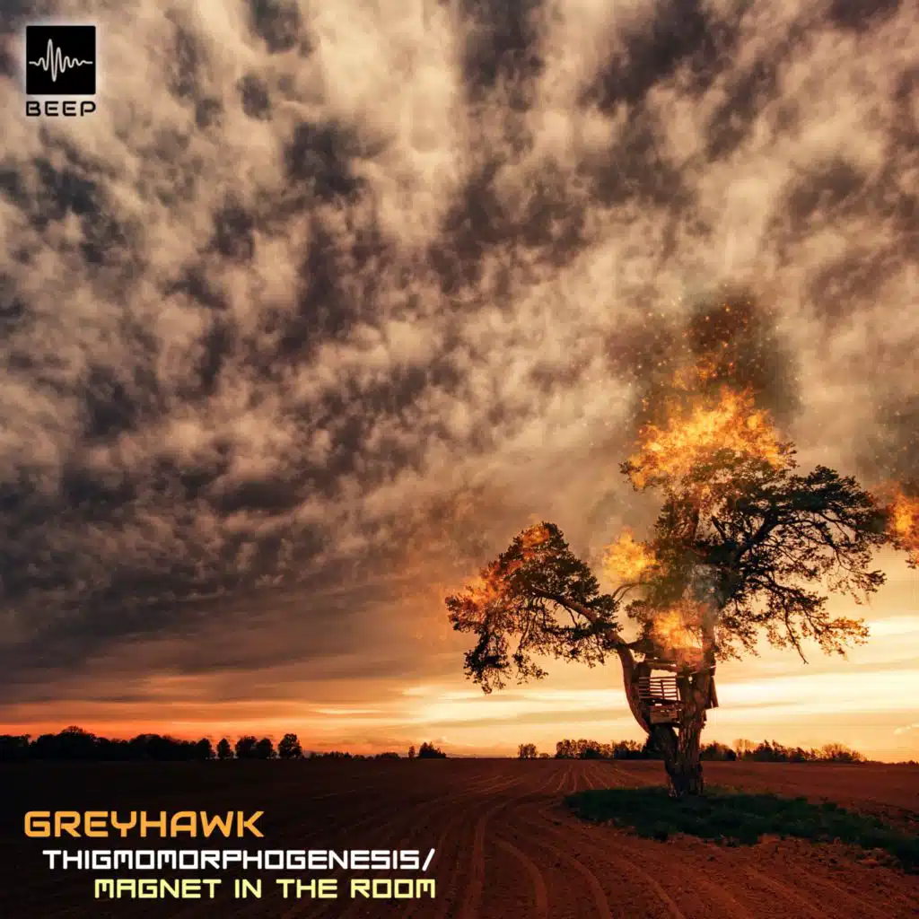 Greyhawk