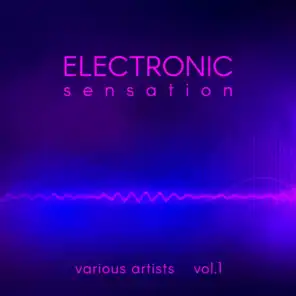 Electronic Sensation, Vol. 1