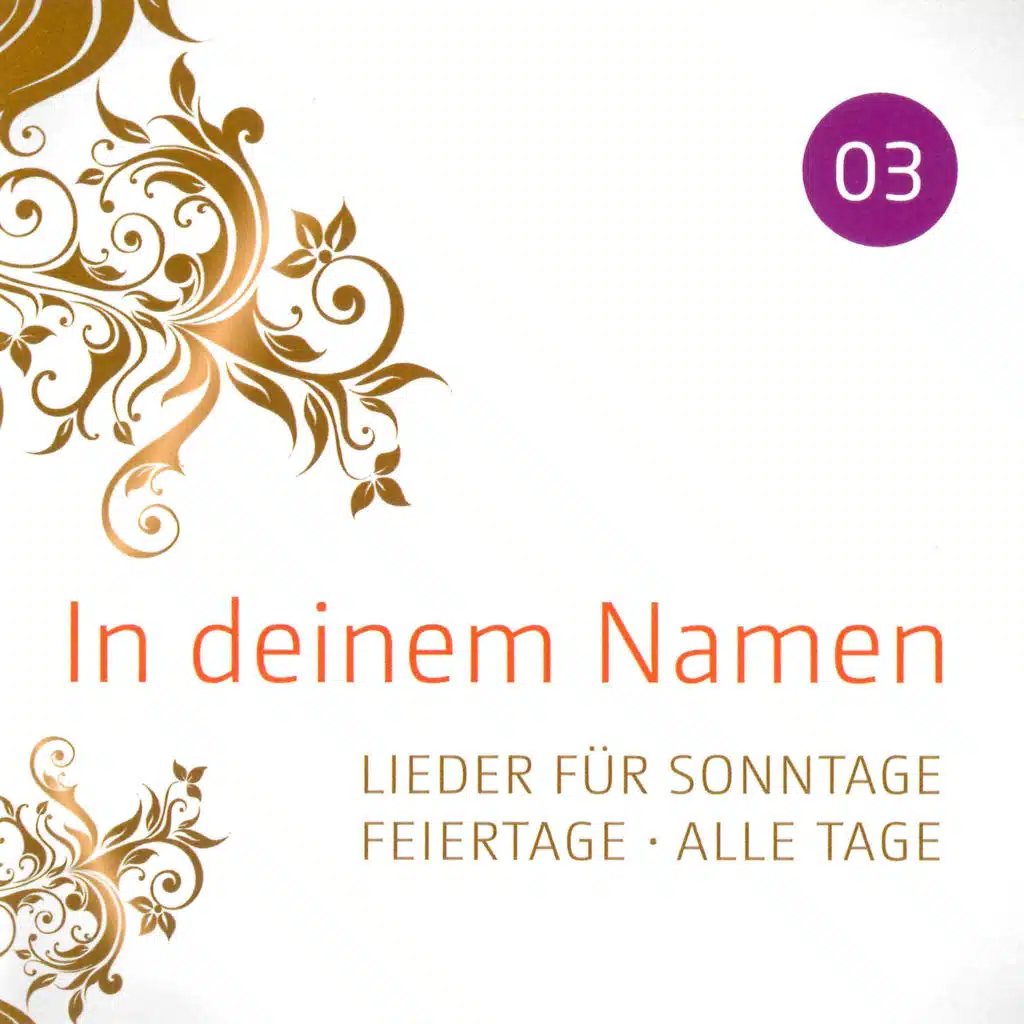 In deinem Namen 03 - Lieder für Sonntage. Feiertage. Alle Tage.