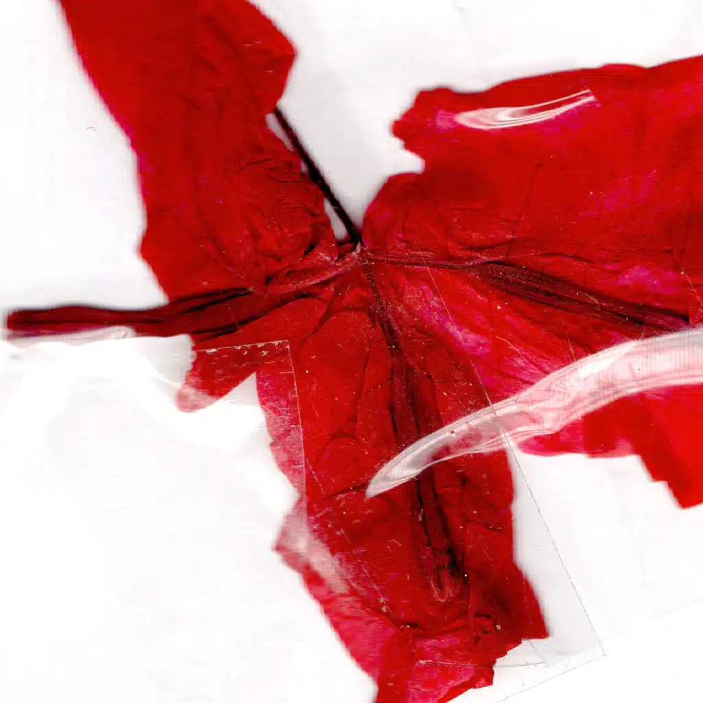 Ars Transmutatoria Rouge (2025 Remastered Version) [feat. Emmanuel Cremer, Laurent Charles, Jeannette Lambert, Davide Barbarino & Lionel GARCIN]