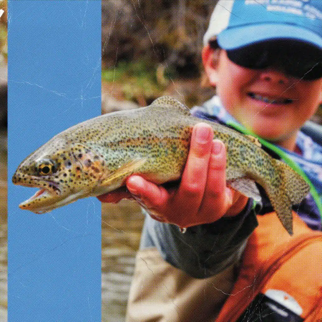 Pêche à la truite
