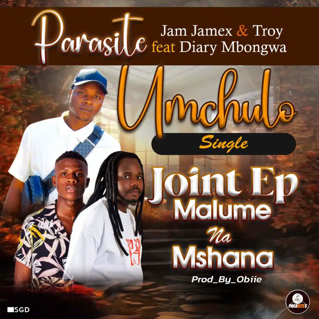 Umchulo (feat. Jam Jam Ex & Troy Rsa)