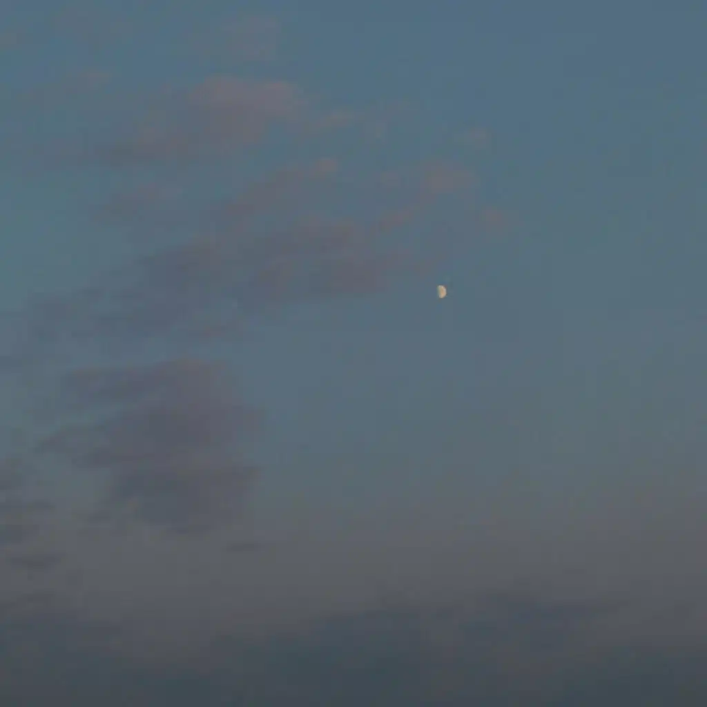 Casiio & Sleepermane