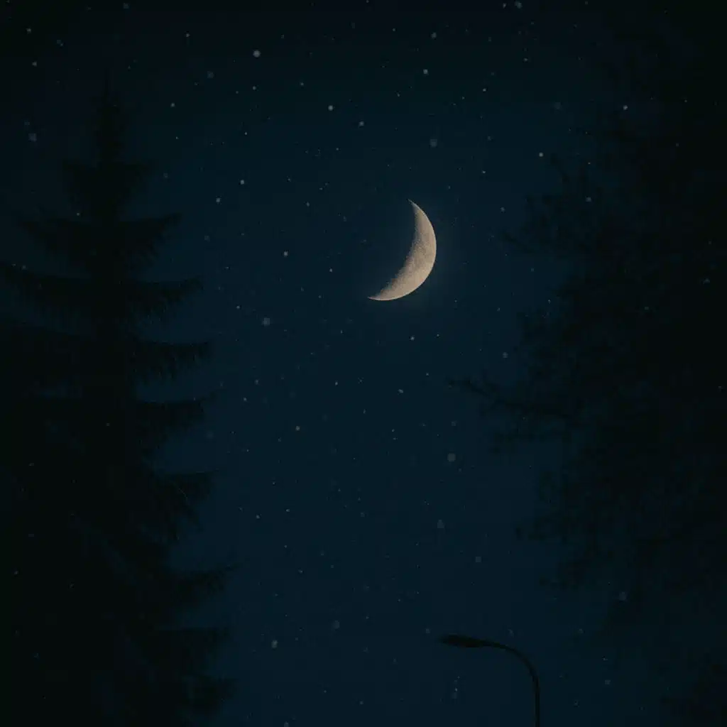 Casiio & Sleepermane