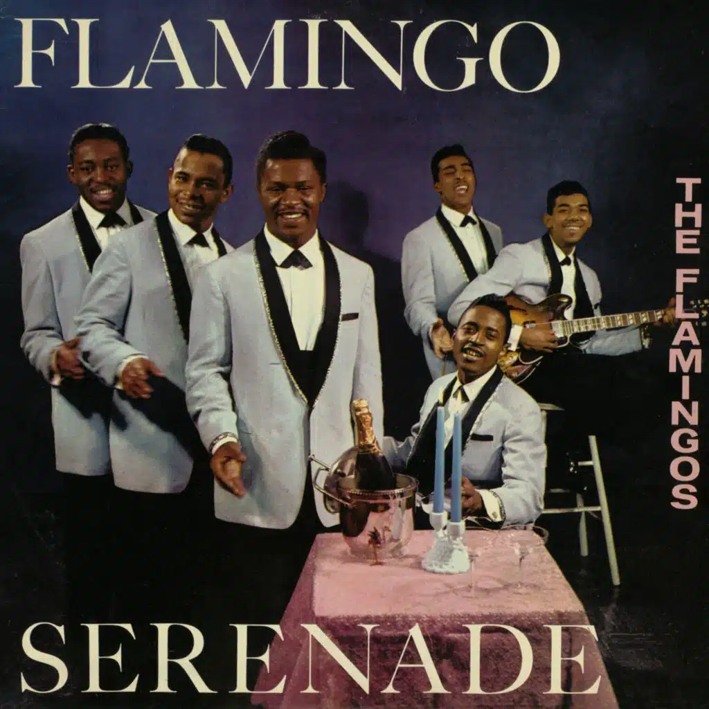 Flamingo Serenade
