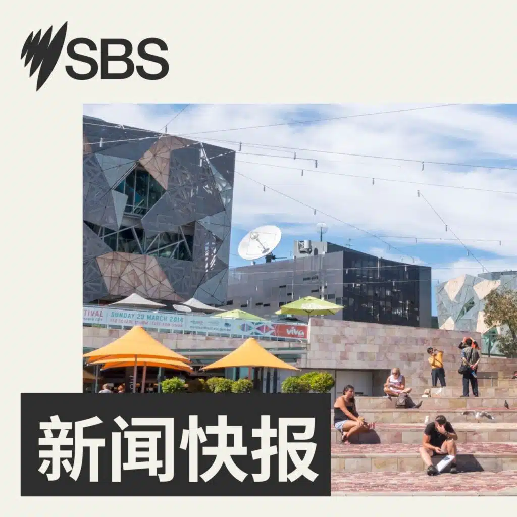 SBS早新闻（2025年11月23日）