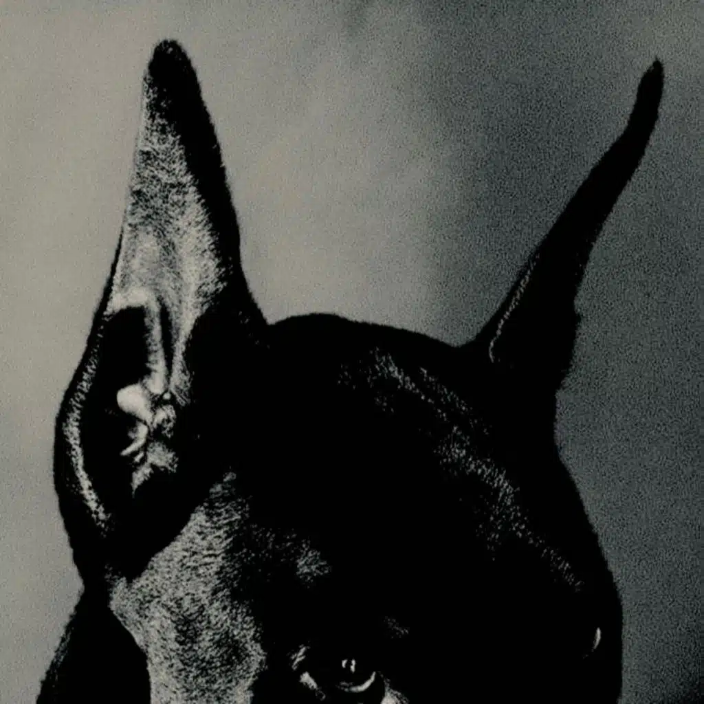 DOBERMAN