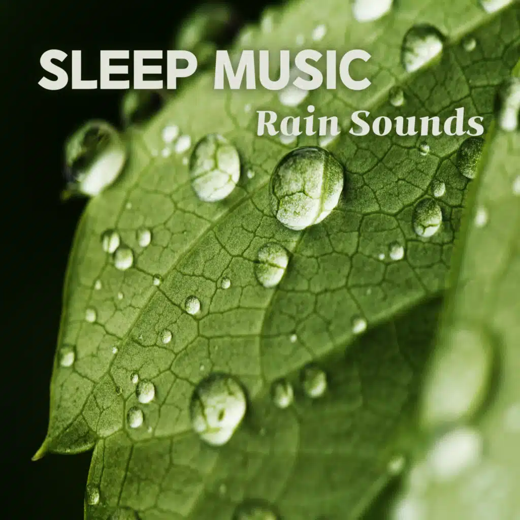 고요한 마음 (밤빗소리)