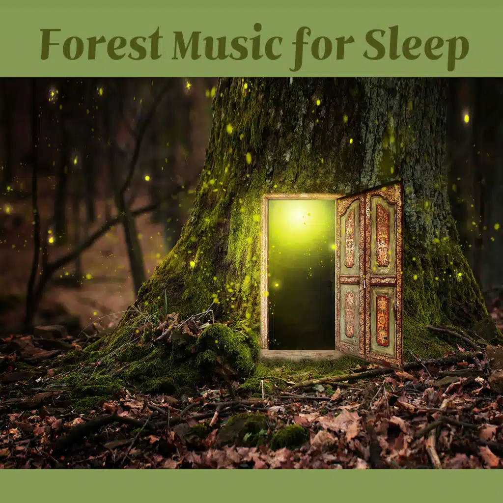 조용한 힐링 (빗소리)