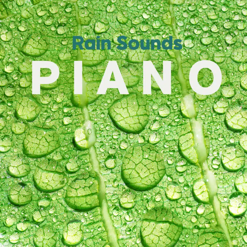 빗소리 들리는 조용한 피아노 자장가