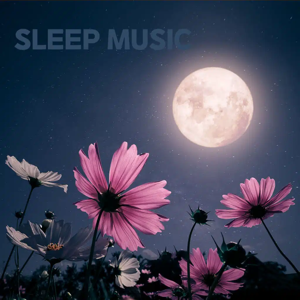 수면 브금 (빗소리)