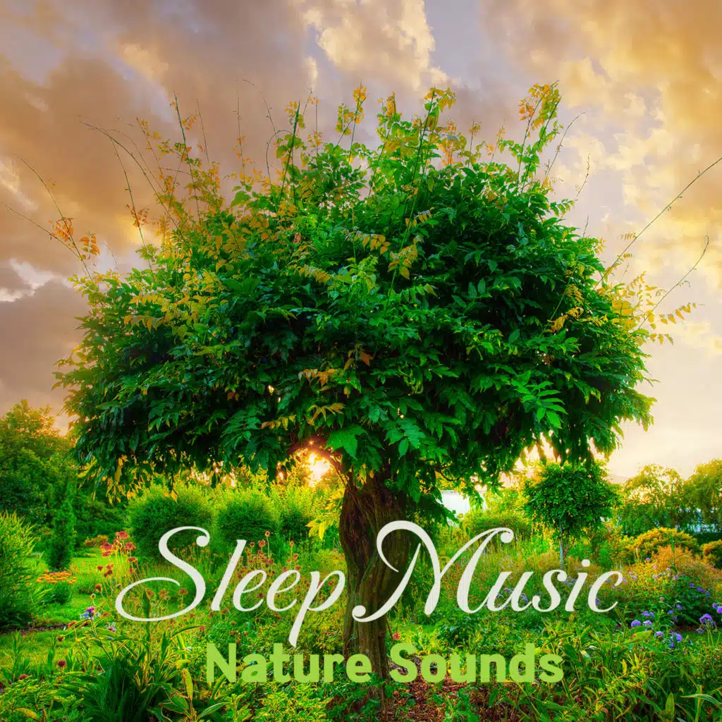 수면 할때 도움 되는 조용한 힐링 음악