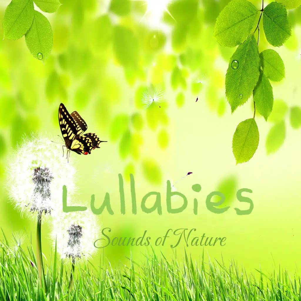 꽃들의 자장가 (새소리+시냇물소리)