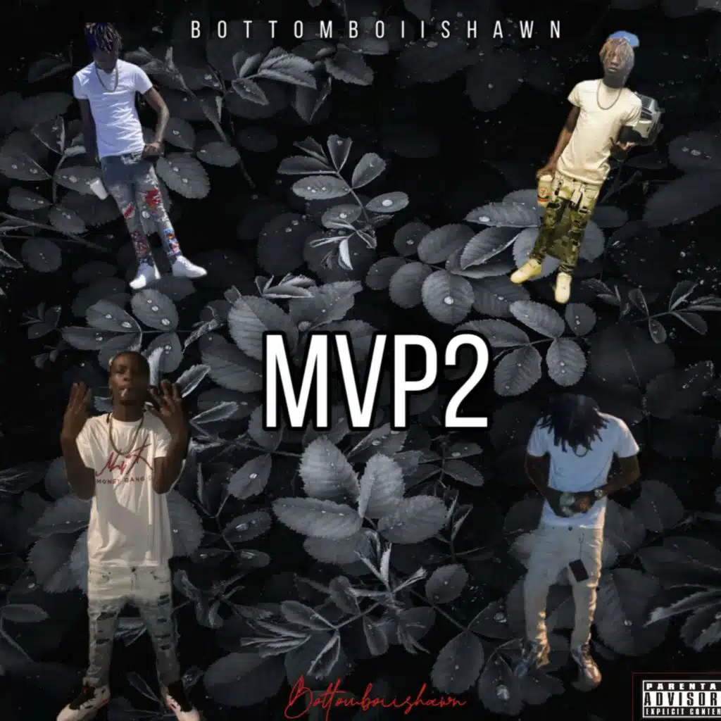 MVP2