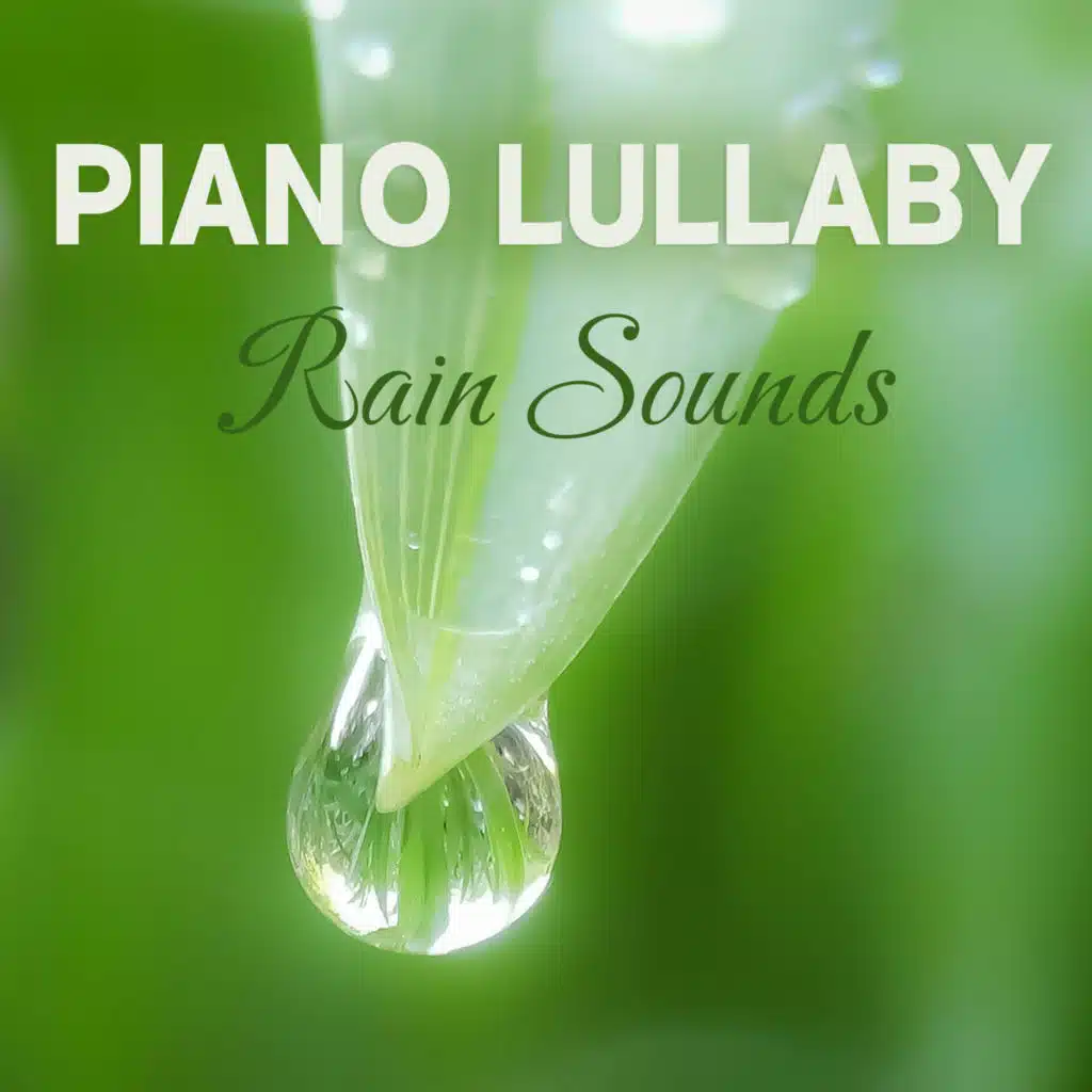 라벤더블루 & 라임라이트