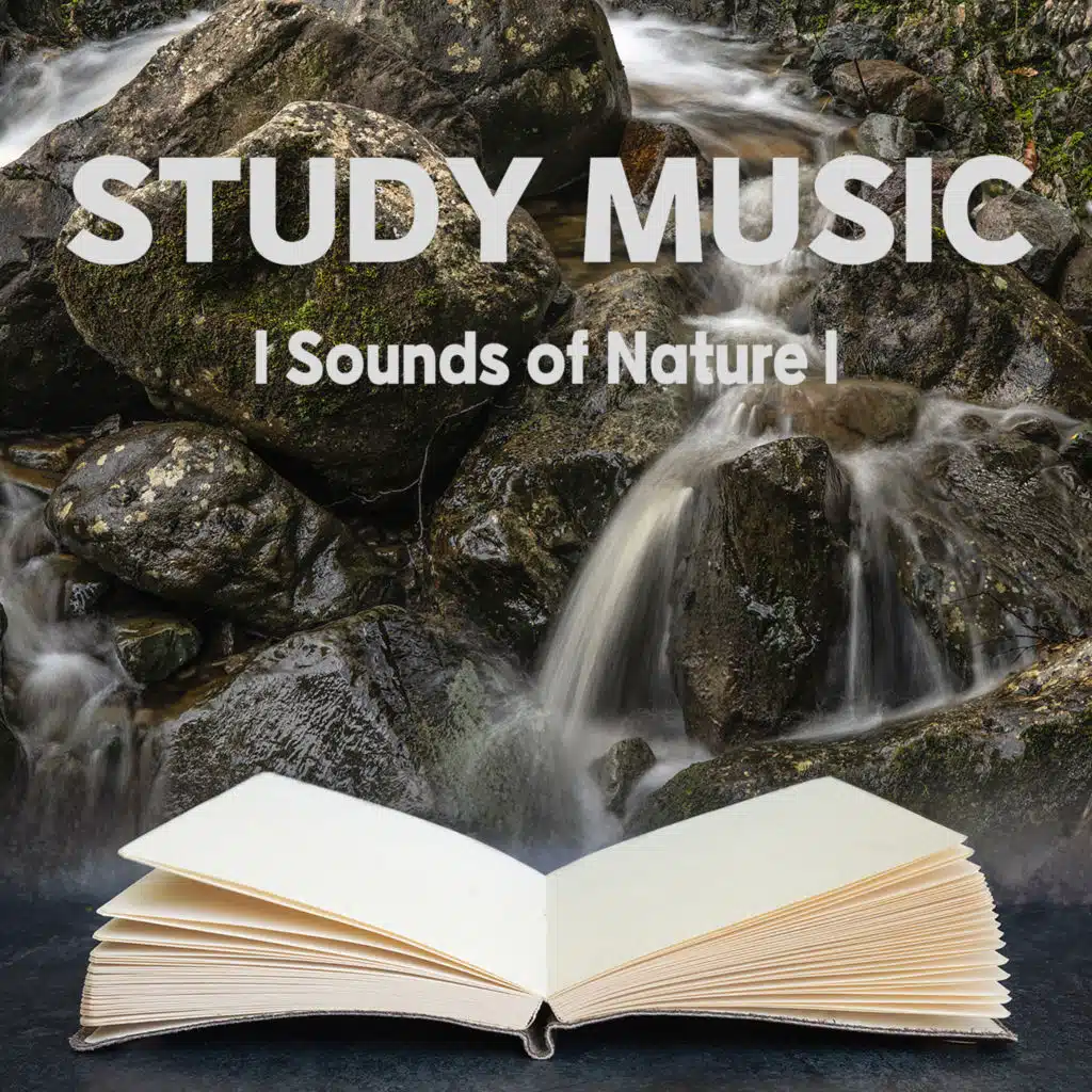 공부 할 때 듣는 집중력 높이는 고요한 백색소음 음악