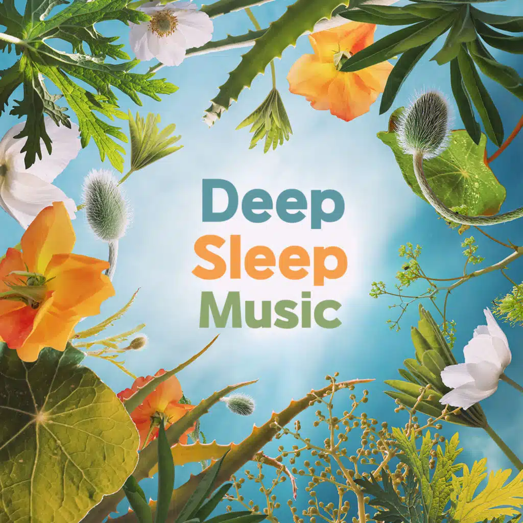 편안한 수면 (밤숲소리)