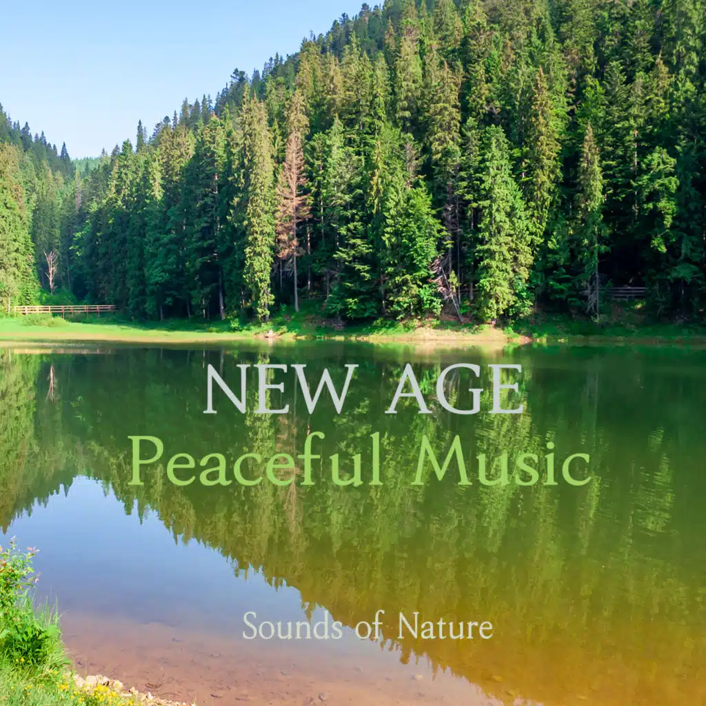자연과 하나 되는 뉴에이지 명상 음악