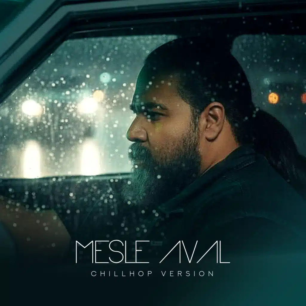 Mesle Aval (Chillhop Version)