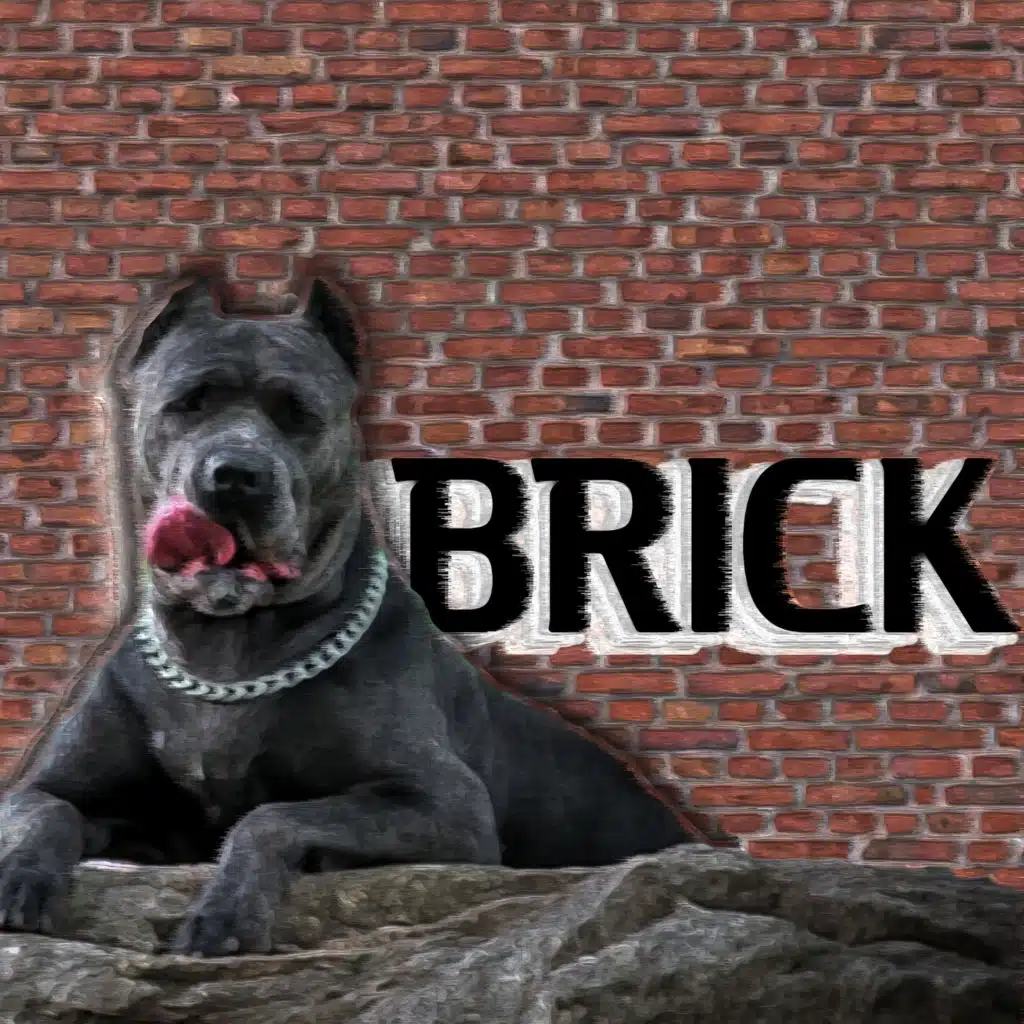 Brick
