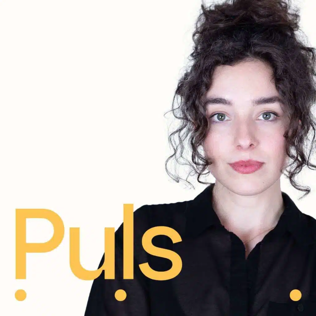 PULS | AfD si vodí německou politiku. Jsou lidem nacistické slogany jedno?