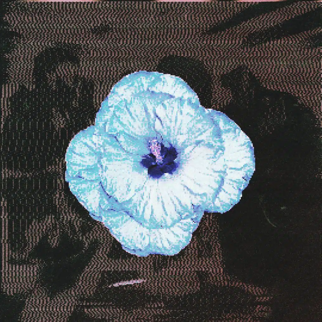 dera meelan & deadforest