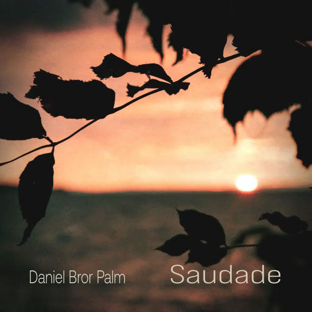 Daniel Bror Palm