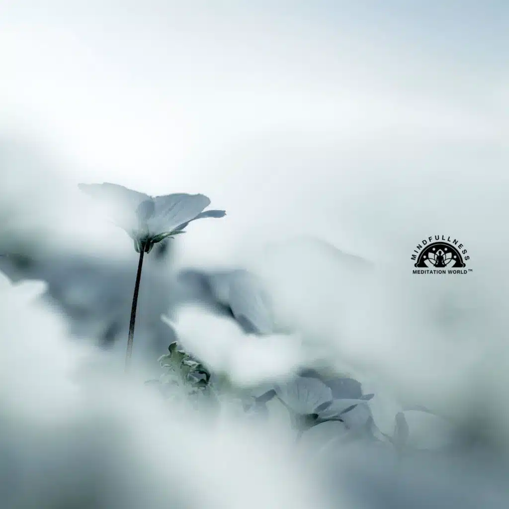 Resting in the Inner Horizon