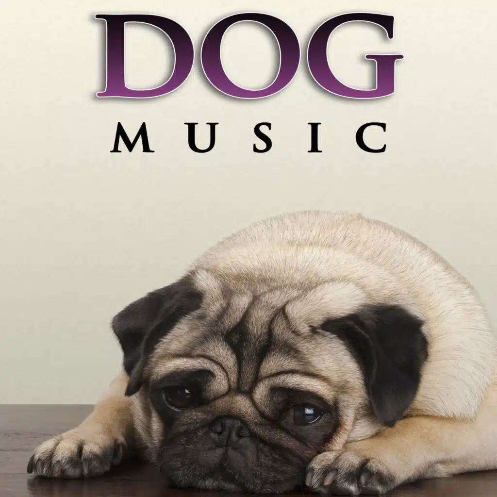 Dog Music: Soothing Music For Dogs, Relaxation Music, Music For Dogs Ears and Calming Music