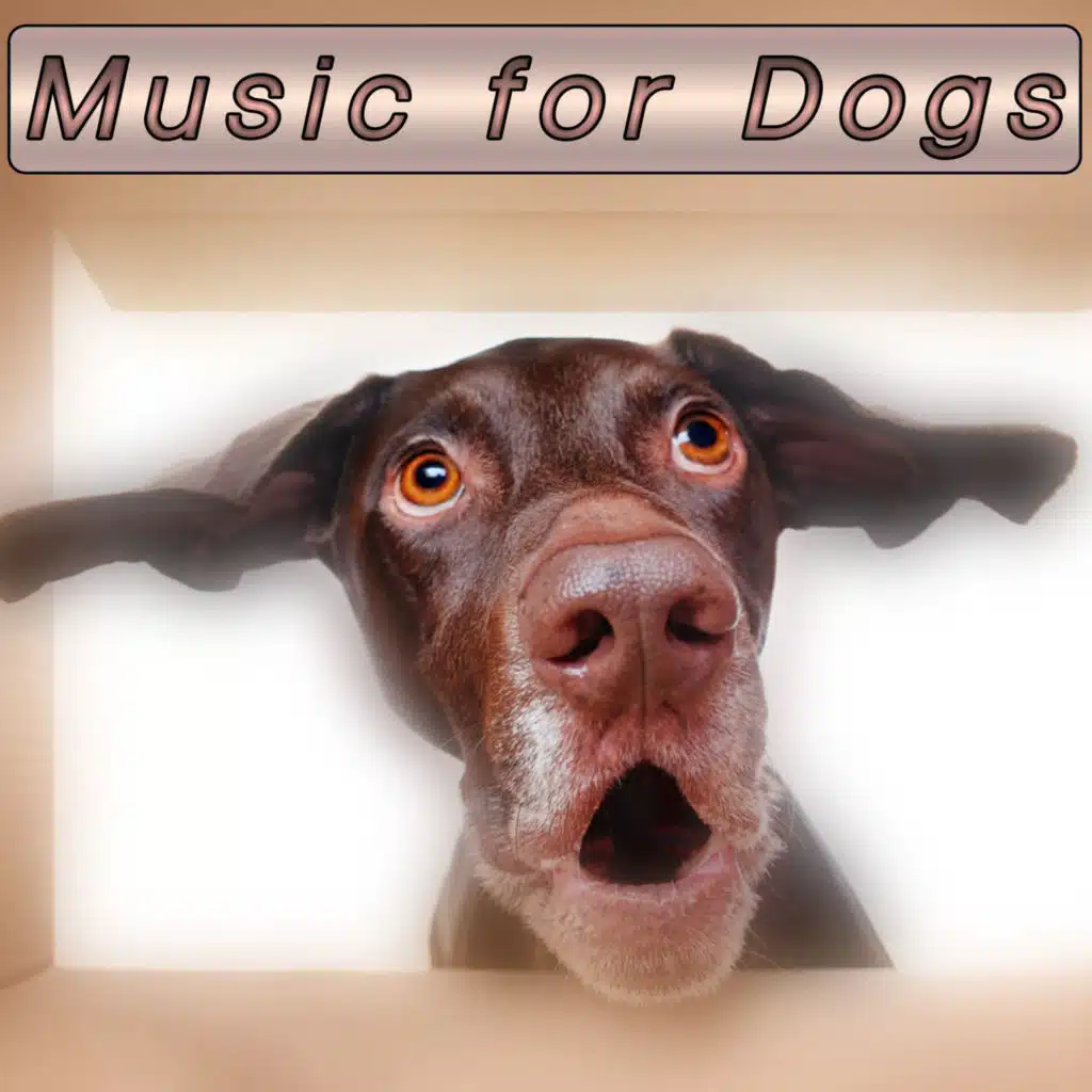 Music for Dogs: Calming Music for Dogs, Background Dog Sleep Music and Sleeping Music for Dogs