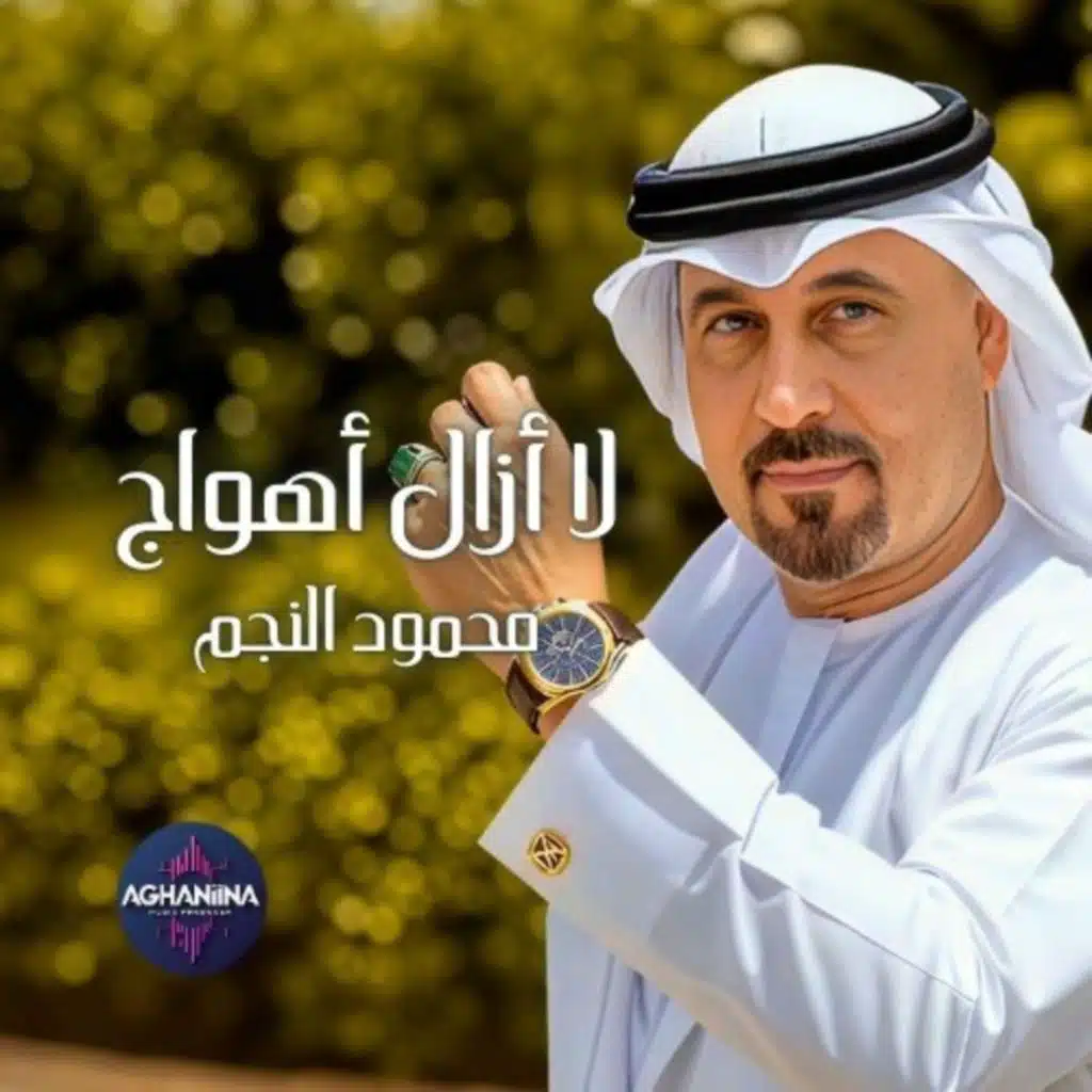 محمود النجم