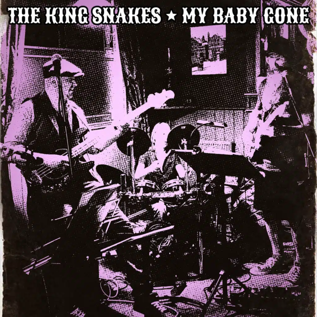The King Snakes
