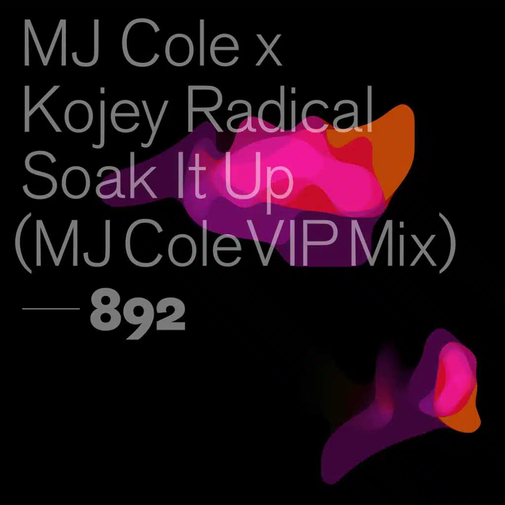 MJ Cole and Kojey Radical