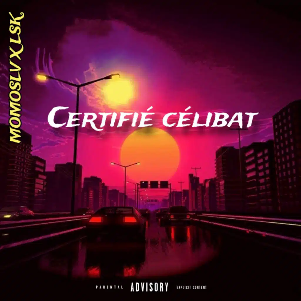 Certifié Célibat (feat. LSK)