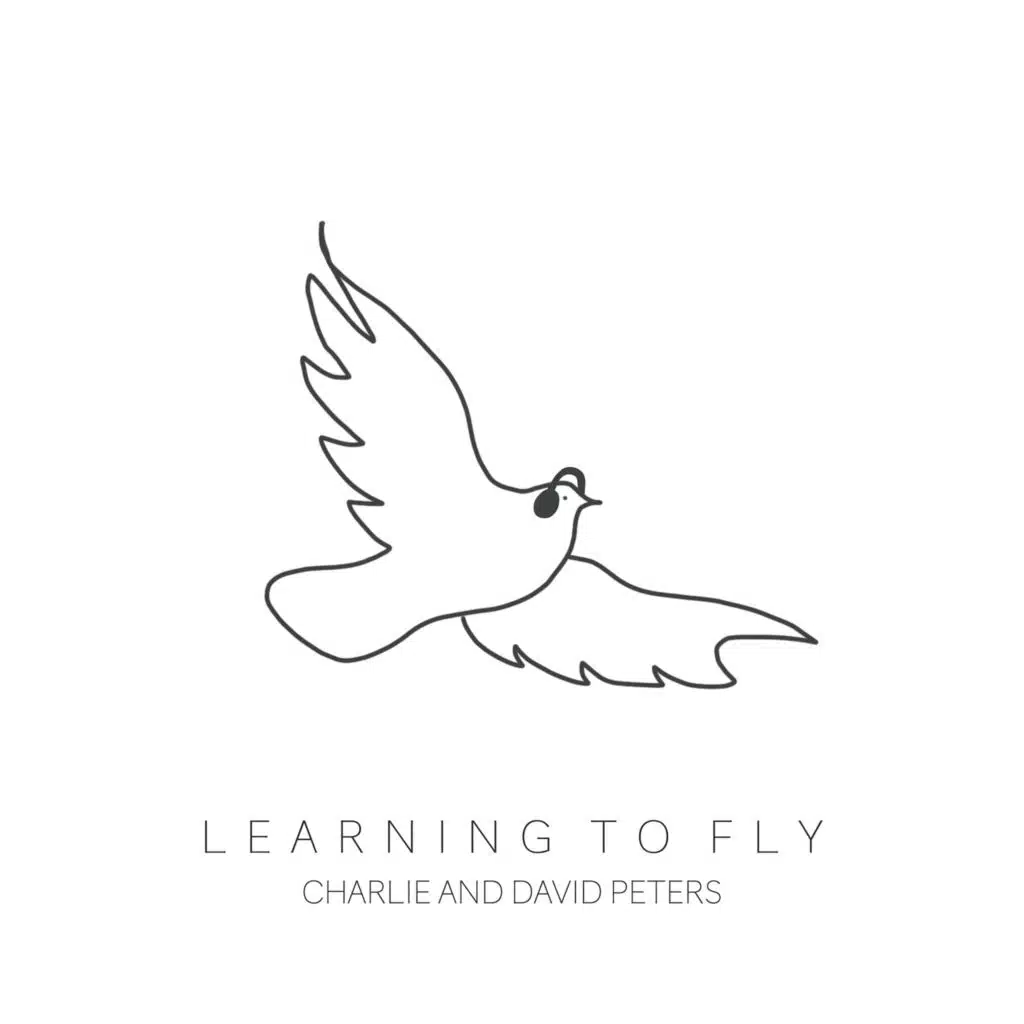 Learning to Fly