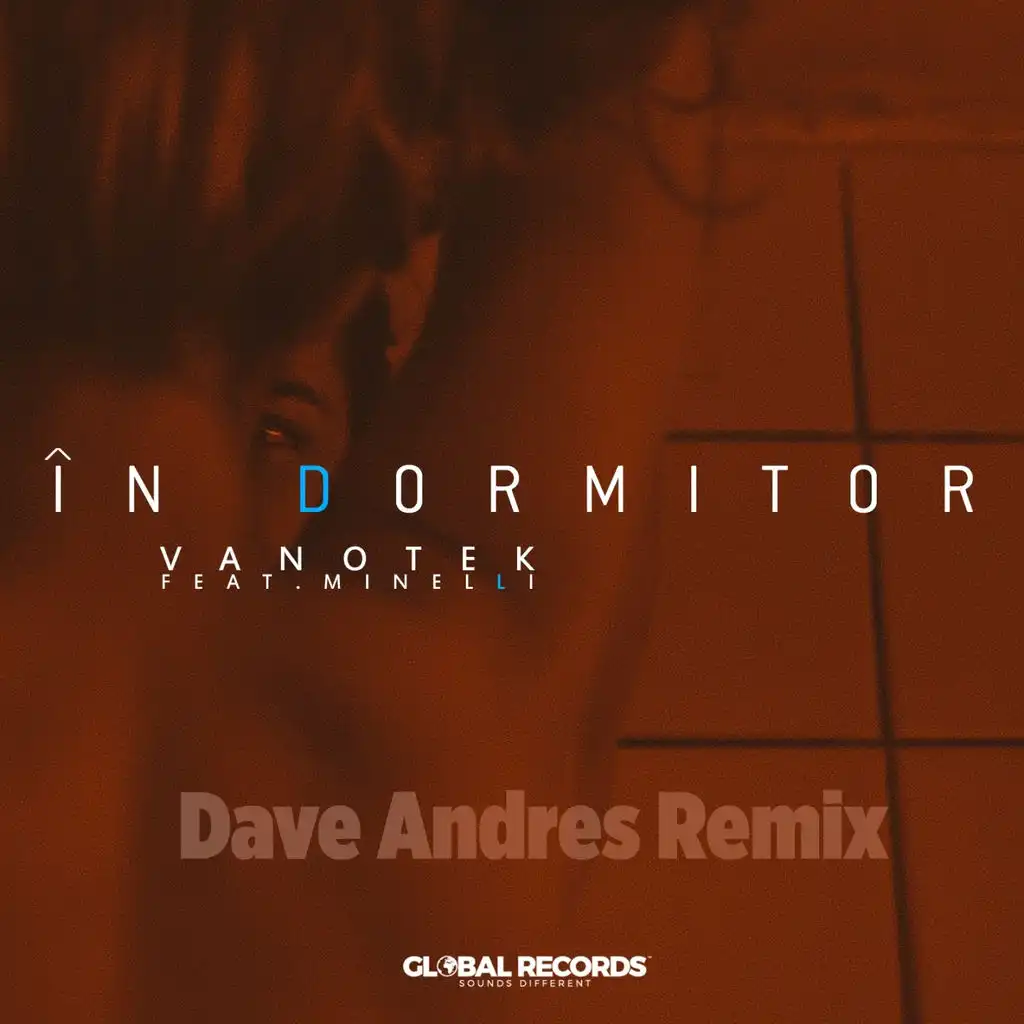 In Dormitor (Dave Andres Remix)