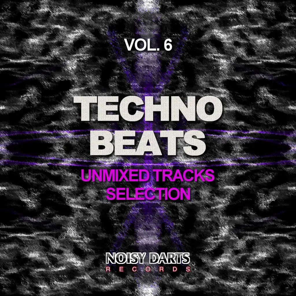 Techno Beats, Vol. 6 (Unmixed Tracks Selection)