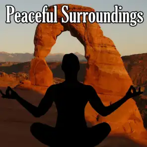 Peaceful Surroundings