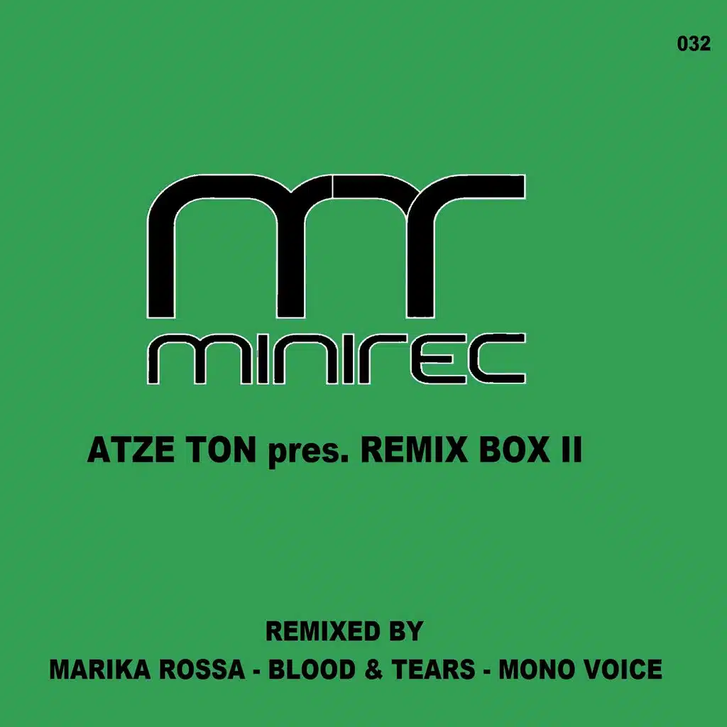 Bang the Box (Mono Voice Remix)