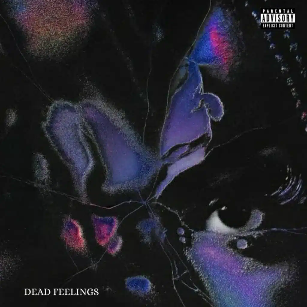 DEAD FEELINGS