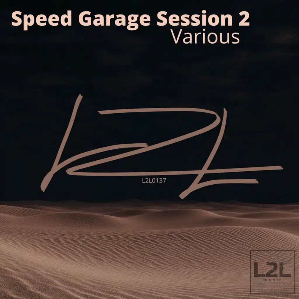 Various - Speed Garage Session 2